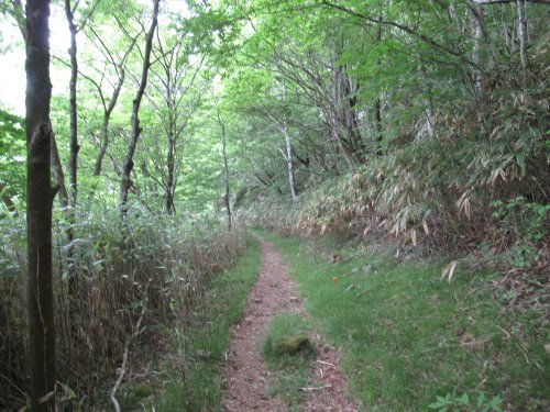登山道